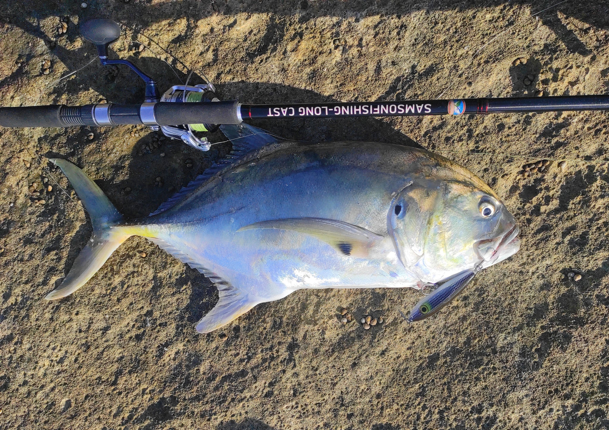 Samson Fish Rig Samson Long Cast 12ft Spinning Rod - TODOS 30-100g – SamsonFishing