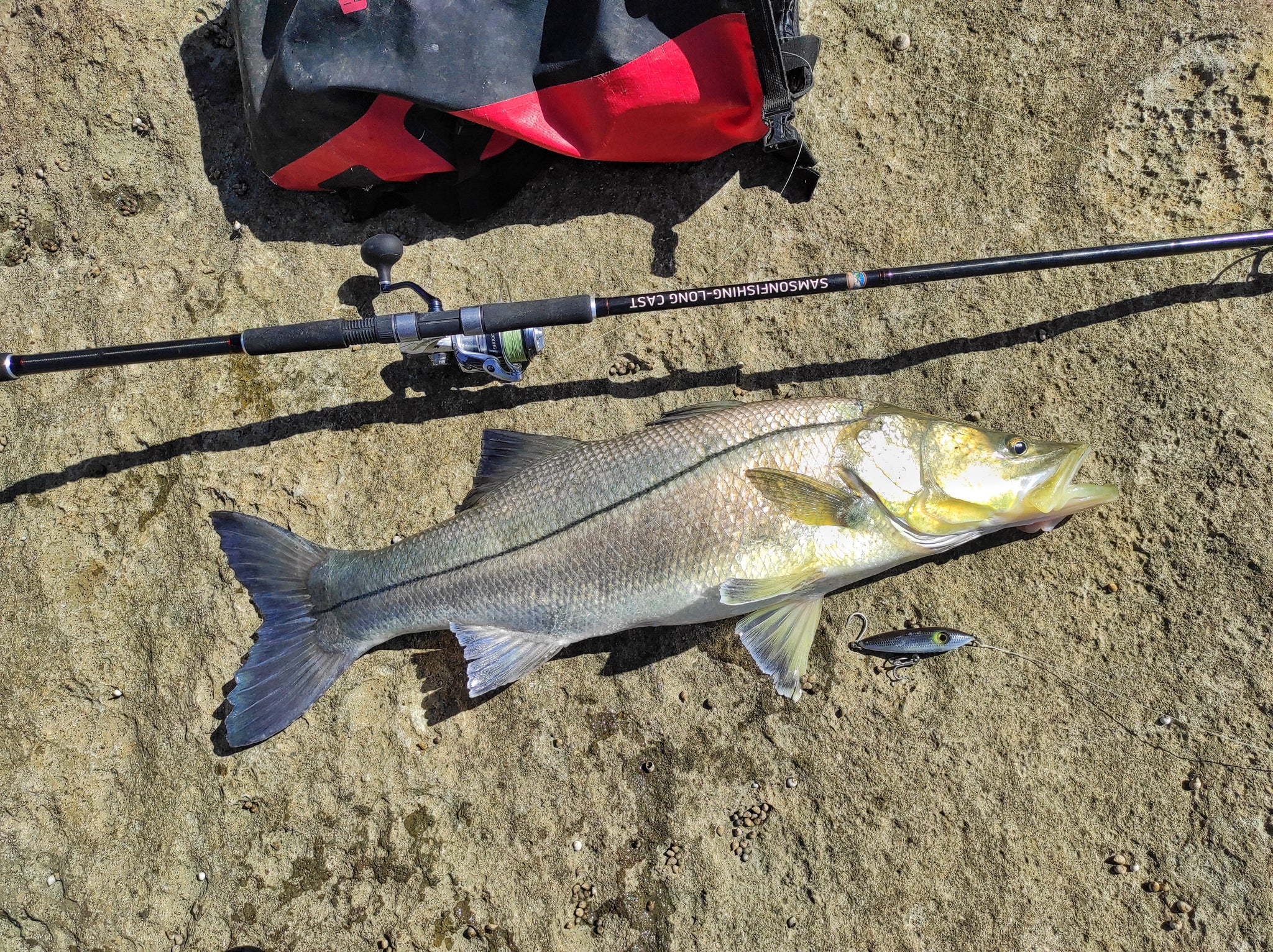 Samson Fish Rig Samson Long Cast 12ft Spinning Rod - TODOS 30-100g – SamsonFishing