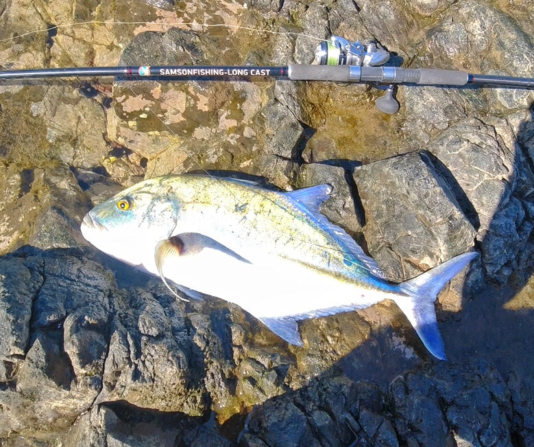 Samson Fish Rig Samson Long Cast 12ft Spinning Rod - TODOS 30-100g – SamsonFishing